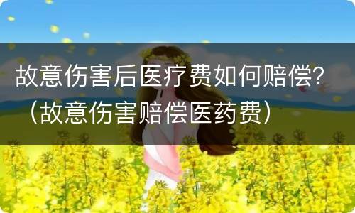 故意伤害后医疗费如何赔偿？（故意伤害赔偿医药费）