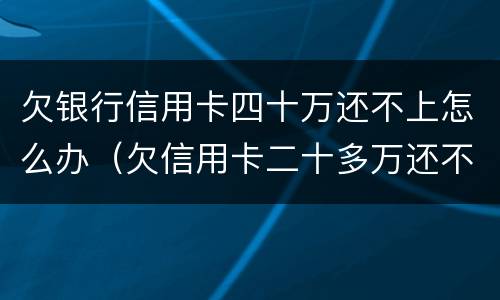 欠银行信用卡四十万还不上怎么办（欠信用卡二十多万还不上怎么办）