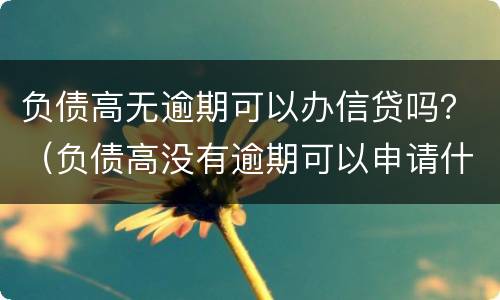 负债高无逾期可以办信贷吗？（负债高没有逾期可以申请什么贷款）