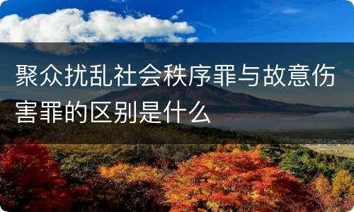 聚众扰乱社会秩序罪与故意伤害罪的区别是什么