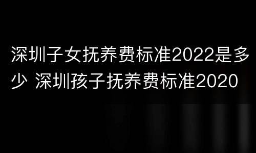 深圳子女抚养费标准2022是多少 深圳孩子抚养费标准2020