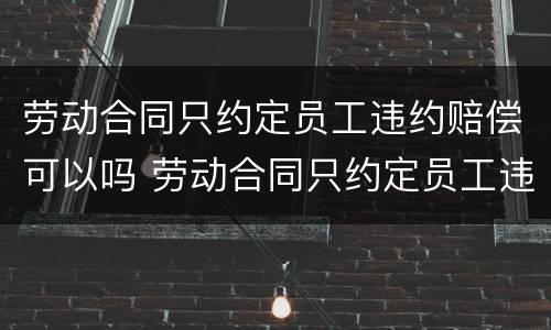 劳动合同只约定员工违约赔偿可以吗 劳动合同只约定员工违约赔偿可以吗怎么写