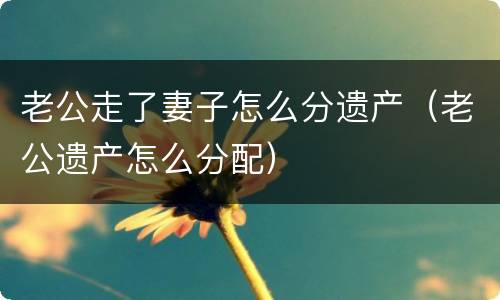 老公走了妻子怎么分遗产（老公遗产怎么分配）