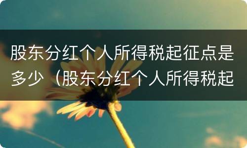股东分红个人所得税起征点是多少（股东分红个人所得税起征点是多少啊）