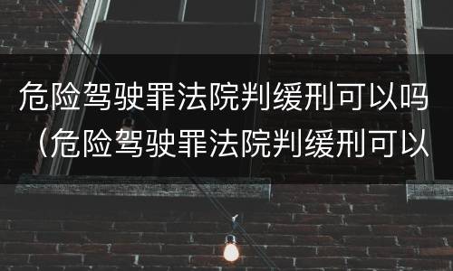 危险驾驶罪法院判缓刑可以吗（危险驾驶罪法院判缓刑可以吗）