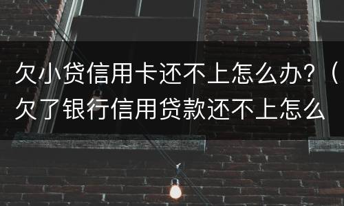 欠小贷信用卡还不上怎么办?（欠了银行信用贷款还不上怎么办）