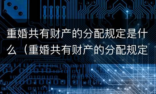 重婚共有财产的分配规定是什么（重婚共有财产的分配规定是什么呢）