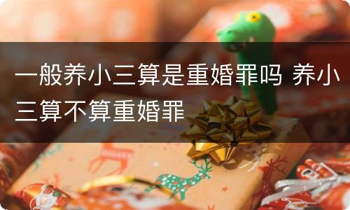 一般养小三算是重婚罪吗 养小三算不算重婚罪