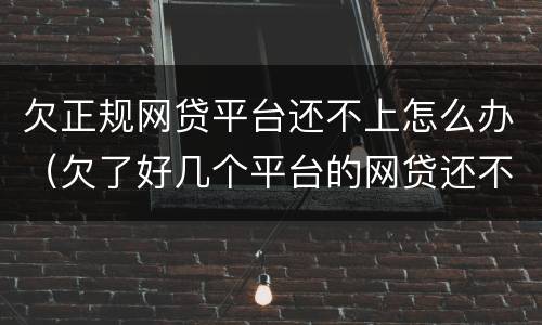欠正规网贷平台还不上怎么办（欠了好几个平台的网贷还不上怎么办）