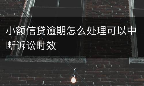小额信贷逾期怎么处理可以中断诉讼时效