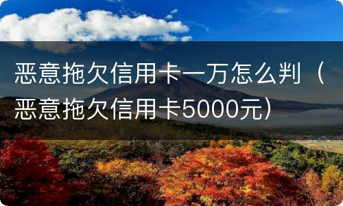 恶意拖欠信用卡一万怎么判（恶意拖欠信用卡5000元）