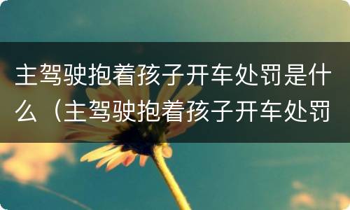 主驾驶抱着孩子开车处罚是什么（主驾驶抱着孩子开车处罚是什么原因）