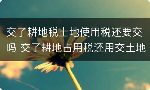 交了耕地税土地使用税还要交吗 交了耕地占用税还用交土地使用税吗