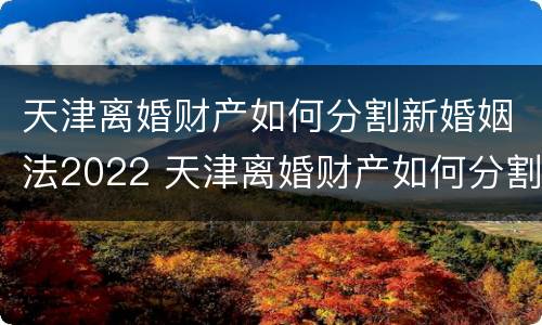 天津离婚财产如何分割新婚姻法2022 天津离婚财产如何分割新婚姻法2022规定