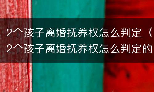 2个孩子离婚抚养权怎么判定（2个孩子离婚抚养权怎么判定的）