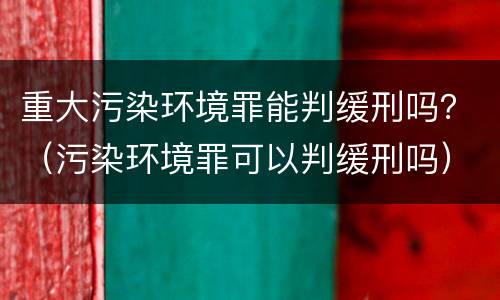 重大污染环境罪能判缓刑吗？（污染环境罪可以判缓刑吗）