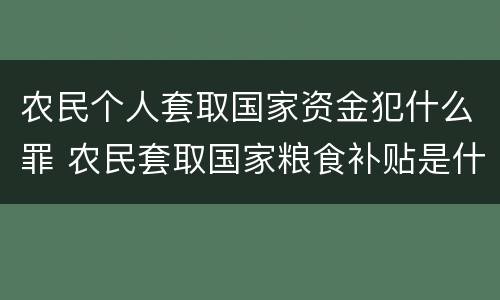 农民个人套取国家资金犯什么罪 农民套取国家粮食补贴是什么罪