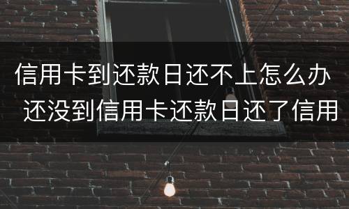 信用卡到还款日还不上怎么办 还没到信用卡还款日还了信用卡立马刷掉
