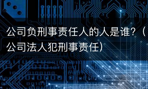 公司负刑事责任人的人是谁?（公司法人犯刑事责任）
