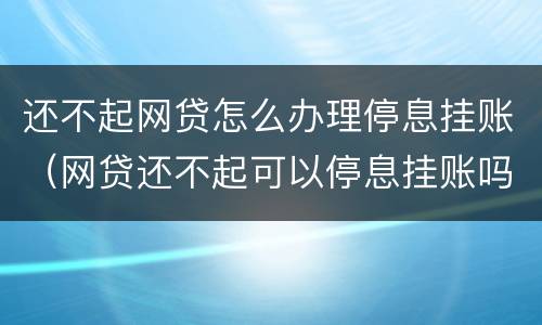 还不起网贷怎么办理停息挂账（网贷还不起可以停息挂账吗）