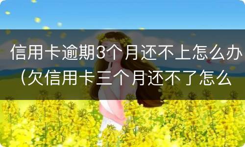 信用卡逾期3个月还不上怎么办（欠信用卡三个月还不了怎么办）