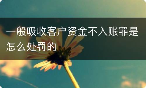 一般吸收客户资金不入账罪是怎么处罚的