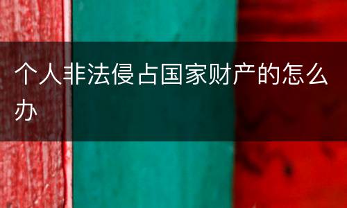 个人非法侵占国家财产的怎么办