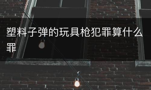 塑料子弹的玩具枪犯罪算什么罪
