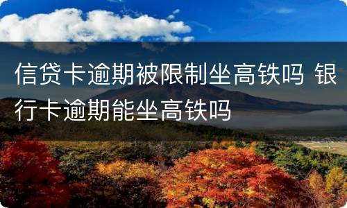 信贷卡逾期被限制坐高铁吗 银行卡逾期能坐高铁吗