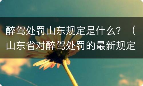 醉驾处罚山东规定是什么？（山东省对醉驾处罚的最新规定）