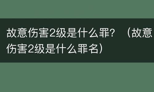 故意伤害2级是什么罪？（故意伤害2级是什么罪名）