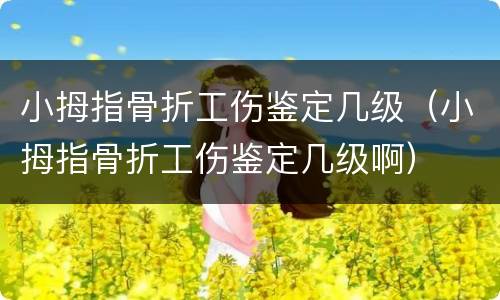小拇指骨折工伤鉴定几级（小拇指骨折工伤鉴定几级啊）