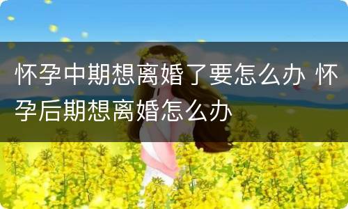 怀孕中期想离婚了要怎么办 怀孕后期想离婚怎么办