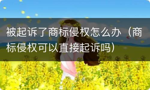 被起诉了商标侵权怎么办（商标侵权可以直接起诉吗）
