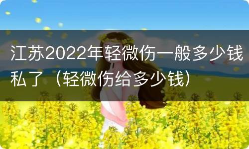 江苏2022年轻微伤一般多少钱私了（轻微伤给多少钱）