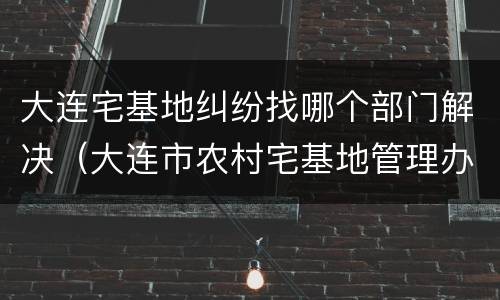 大连宅基地纠纷找哪个部门解决（大连市农村宅基地管理办法）