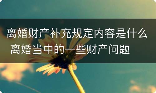 离婚财产补充规定内容是什么 离婚当中的一些财产问题