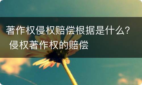 著作权侵权赔偿根据是什么？ 侵权著作权的赔偿