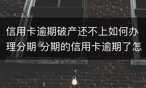 信用卡逾期破产还不上如何办理分期 分期的信用卡逾期了怎么办