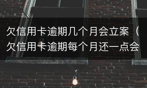 欠信用卡逾期几个月会立案（欠信用卡逾期每个月还一点会立案吗）