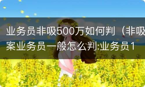 业务员非吸500万如何判（非吸案业务员一般怎么判:业务员1000万业绩）