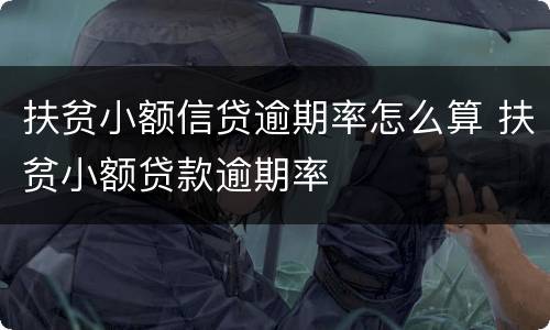 扶贫小额信贷逾期率怎么算 扶贫小额贷款逾期率