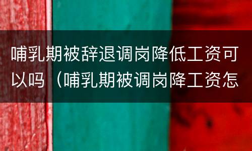 哺乳期被辞退调岗降低工资可以吗（哺乳期被调岗降工资怎么办）