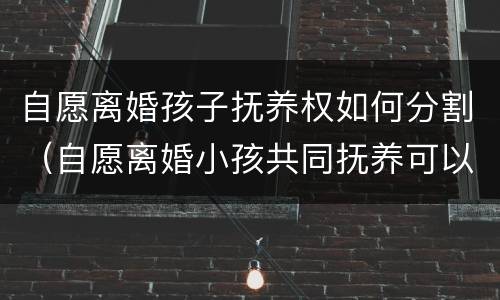 自愿离婚孩子抚养权如何分割（自愿离婚小孩共同抚养可以吗）