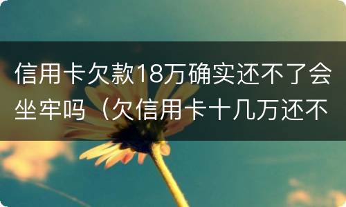 信用卡欠款18万确实还不了会坐牢吗（欠信用卡十几万还不上坐牢的有吗?）
