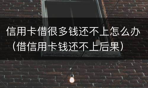 信用卡借很多钱还不上怎么办（借信用卡钱还不上后果）