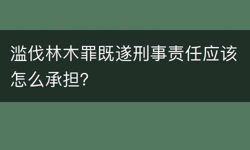 滥伐林木罪既遂刑事责任应该怎么承担？
