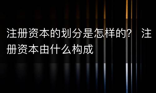 注册资本的划分是怎样的？ 注册资本由什么构成