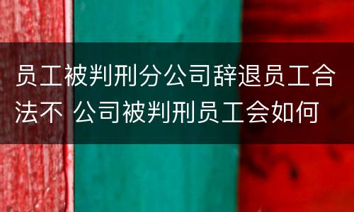 员工被判刑分公司辞退员工合法不 公司被判刑员工会如何