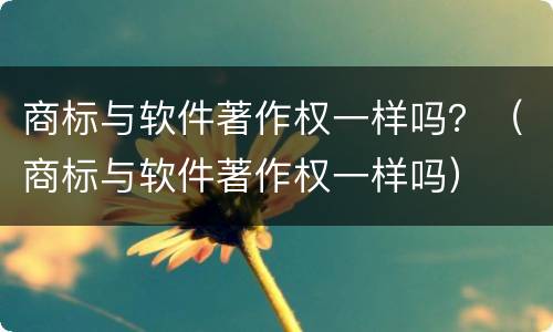 商标与软件著作权一样吗？（商标与软件著作权一样吗）
